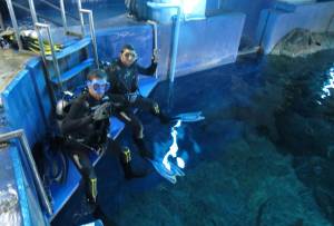 diving-with-sharks-thailand